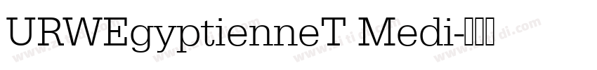 URWEgyptienneT Medi字体转换 URWEgyptienneT Medi字体转换